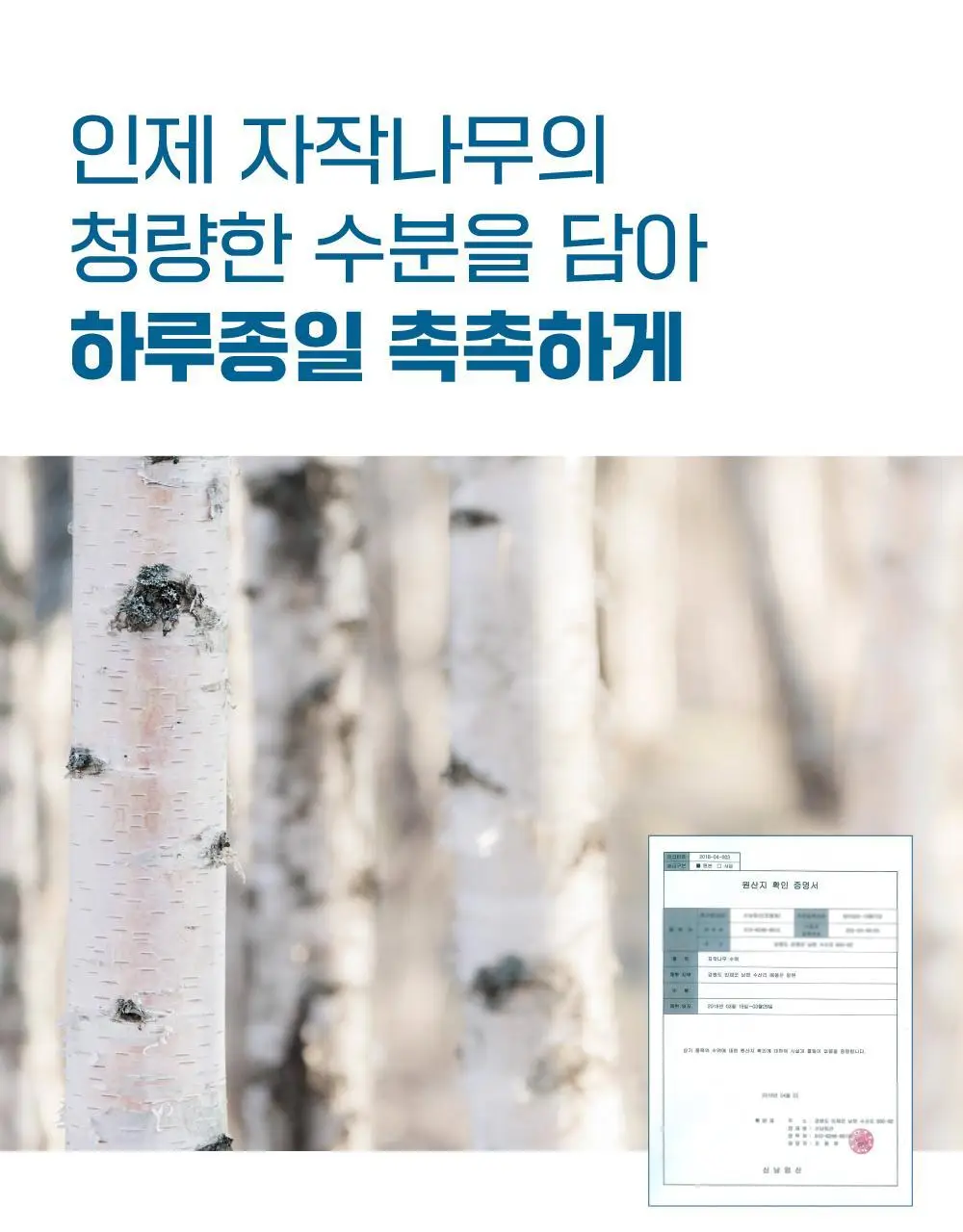 [4월 한정/선스틱 증정] 라운드랩 자작나무 수분 톤업 선크림 50ml 1+1 기획 (+소나무 선스틱 10g) 상세페이지 10